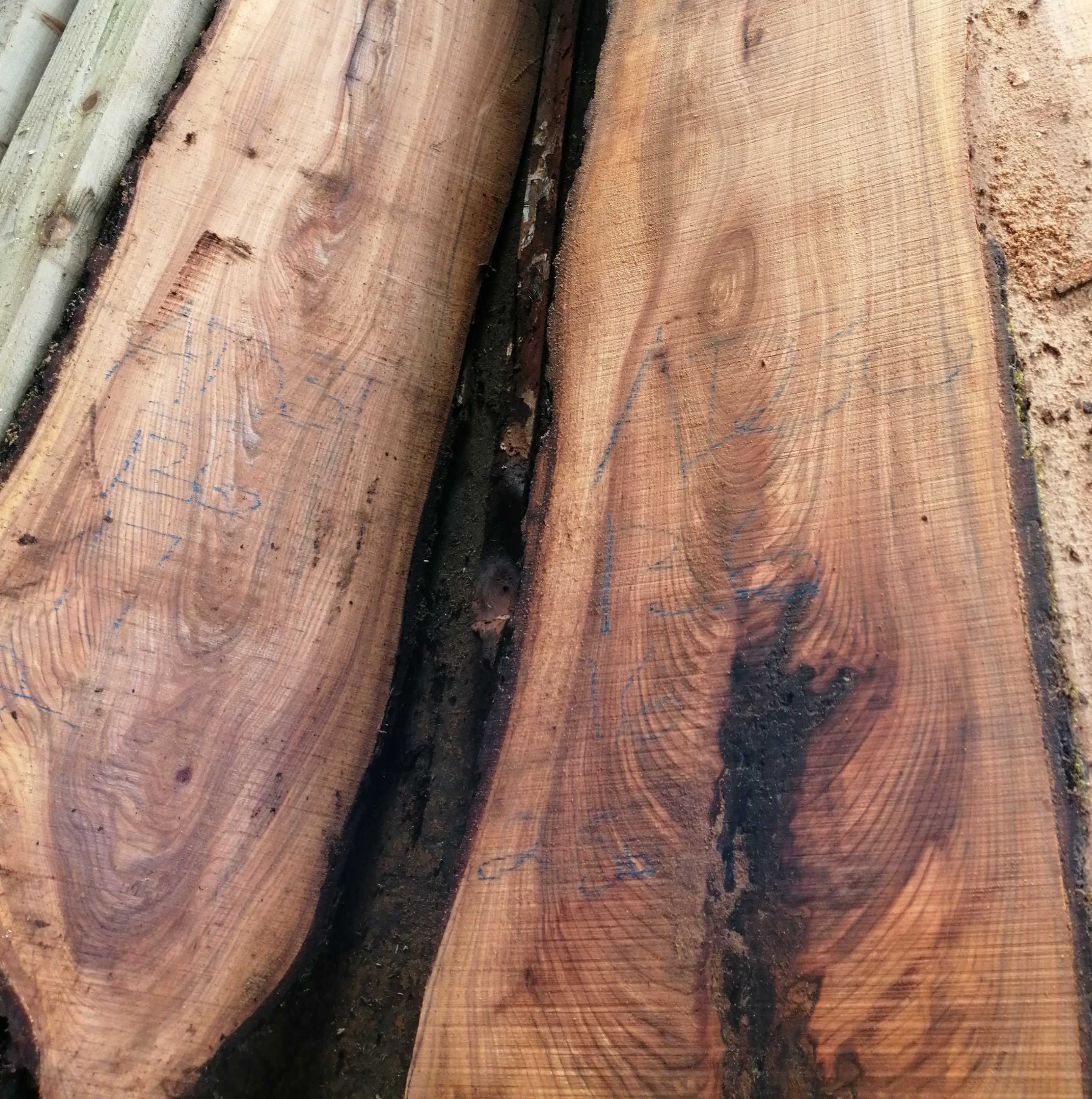 How beautiful are live edge slabs?