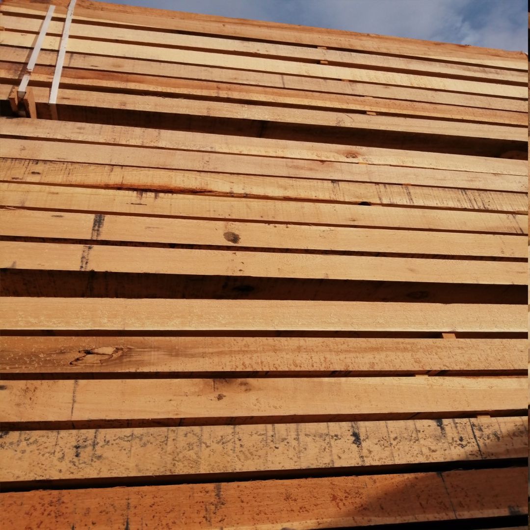 Odoo • Text and Image